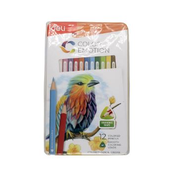crayons de couleur métal box 12 pièces