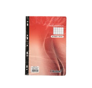 Feuillets mobiles perforés A4 96 pages