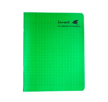 Cahier seyès petit format 96 pages polypro
