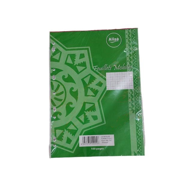 Feuilles blanches perforées séyès A4 100 pages