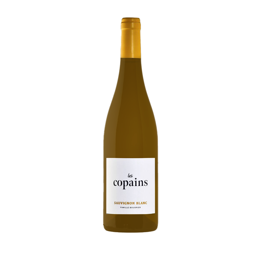 Vins de France Blanc Sauvignon Les Copains Bougrier 24 75cl
