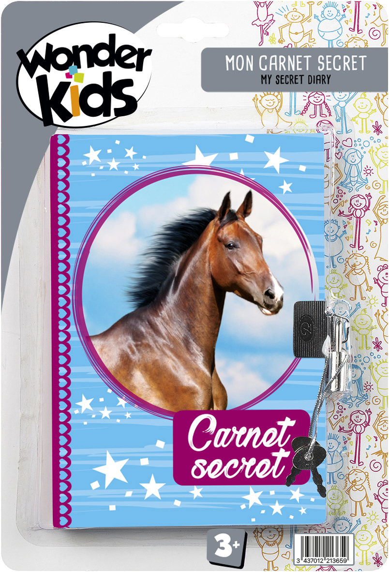 Journal intime avec cadenas assortis