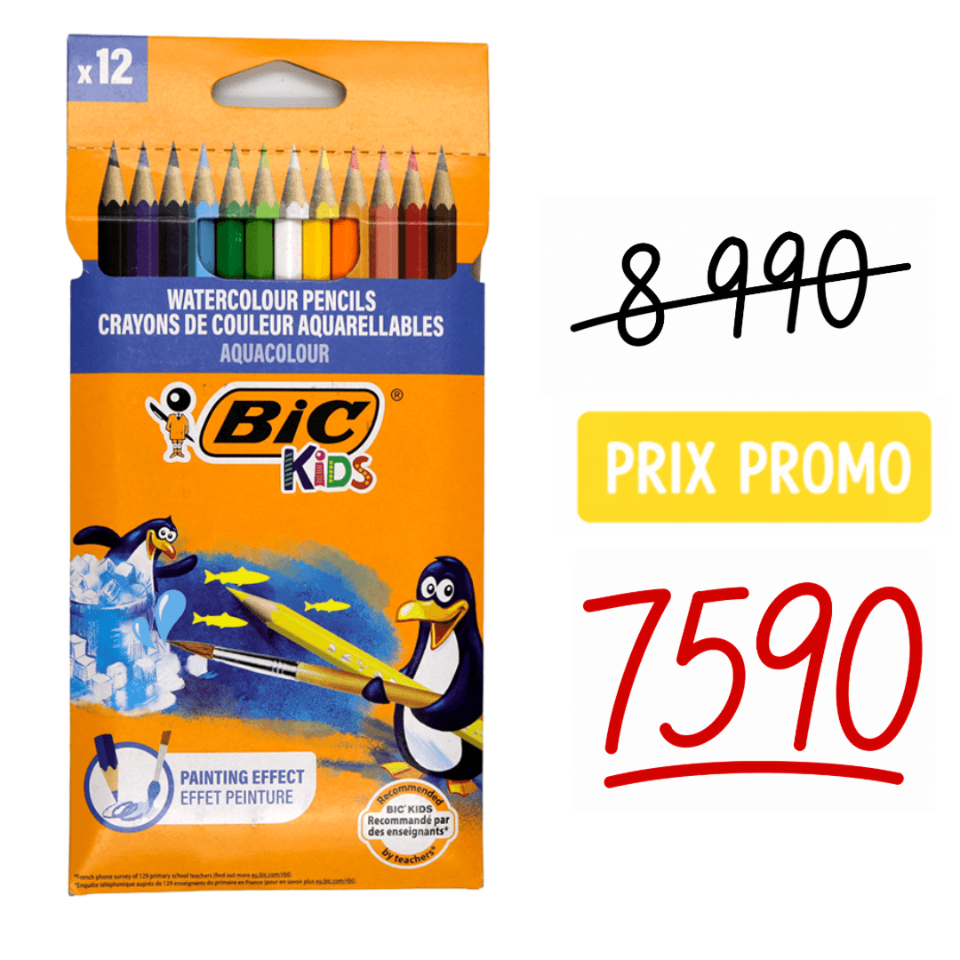 crayons de couleur Aquacouleur 12 pièces Bic Kids