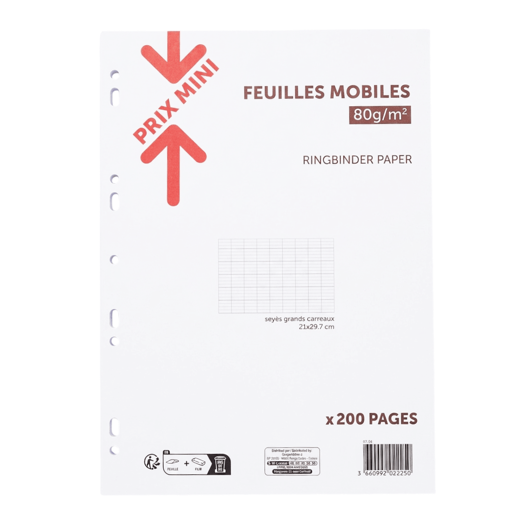 Feuilles mobiles perforées 21 × 29,7 cm - 200 pages