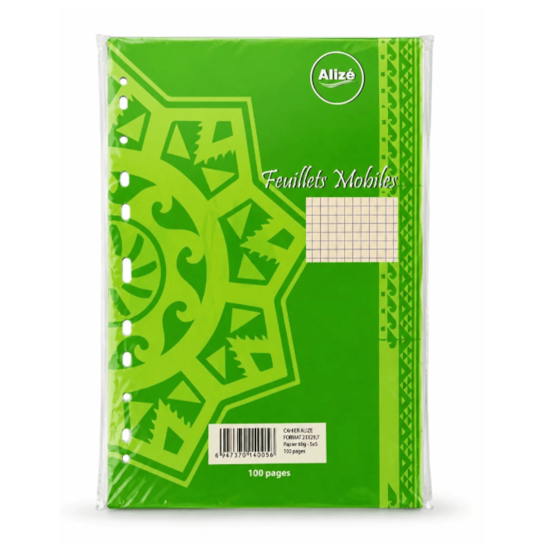 Feuilles blanches perforées Alizé A4 quadrillage 5 × 5 mm - 100 pages