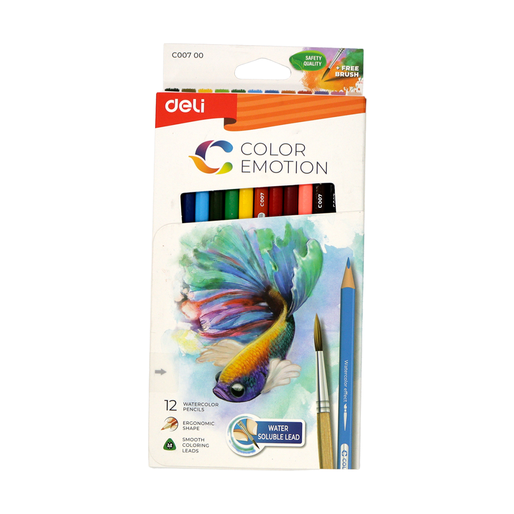 crayons de couleur Emotion 12 pièces Deli
