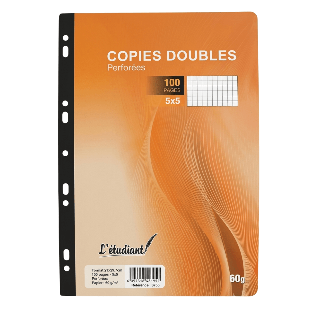 Feuilles doubles perforées A4 petits carreaux 100 pages